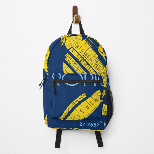 Item preview, Tampa Bay Rays Tropicana Field Stadium Poster Print designed and sold by Birch Trail Boutique.