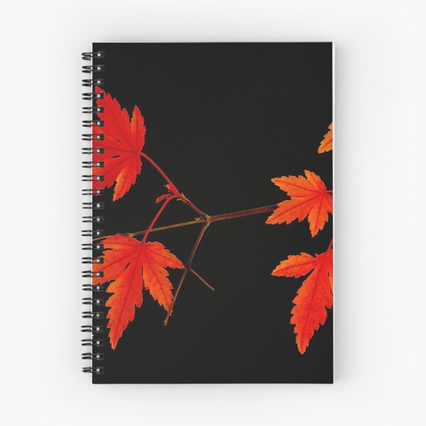 Item preview, Japanese Maples on Black designed and sold by Bryan W. Cole.