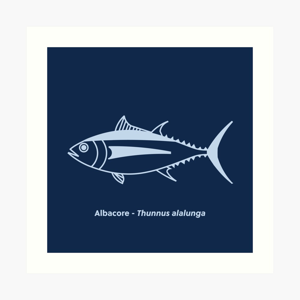 Cute Albacore Tuna Fish in Aegean Blue and White | Sticker