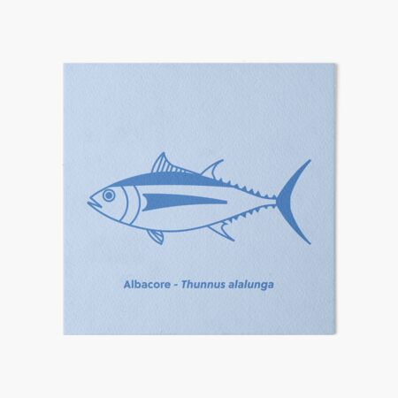 Cute Albacore Tuna Fish in Aegean Blue and White | Sticker