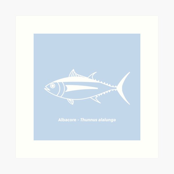 Cute Albacore Tuna Fish in Aegean Blue and White | Sticker