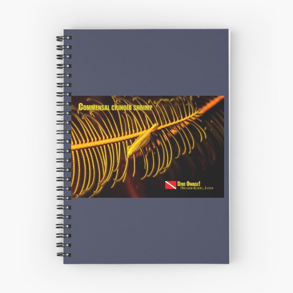 Item preview, Commensal crinoid shrimp designed and sold by tank200bar.