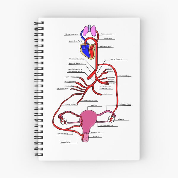 Item preview, Women’s Health Cardiovascular System designed and sold by agholson4.