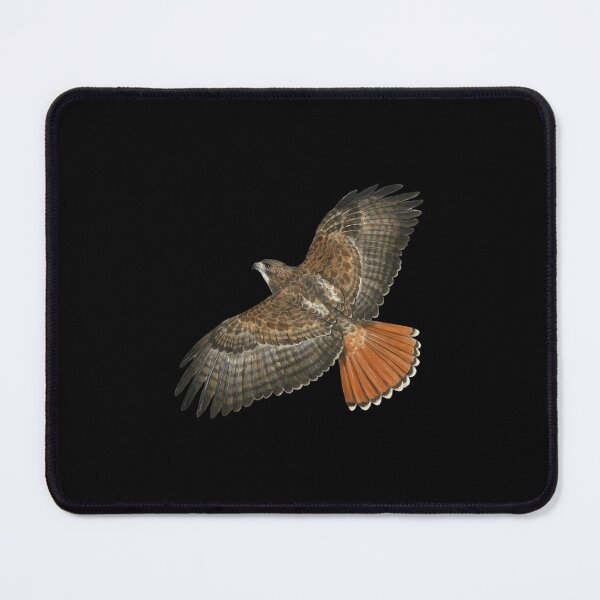 Item preview, Red Tailed Hawk in Flight designed and sold by tcsztxib86.
