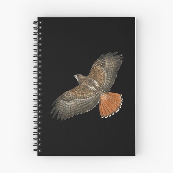 Item preview, Red Tailed Hawk in Flight 	 	 designed and sold by tcsztxib86.