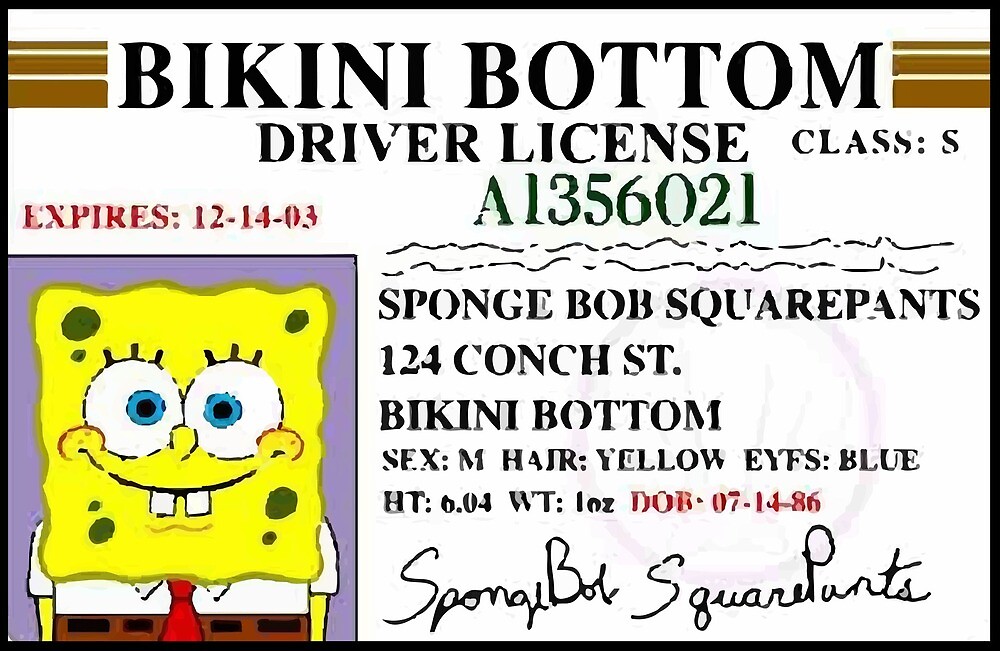 Spongebob License by darcyfeeley 