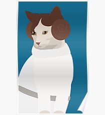 Princess Catwalker Poster
