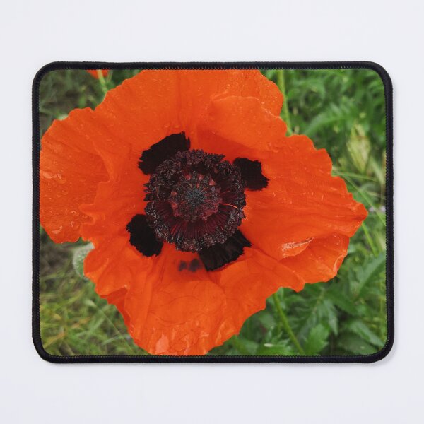 Item preview, Poppy giant red  designed and sold by Singerevita.