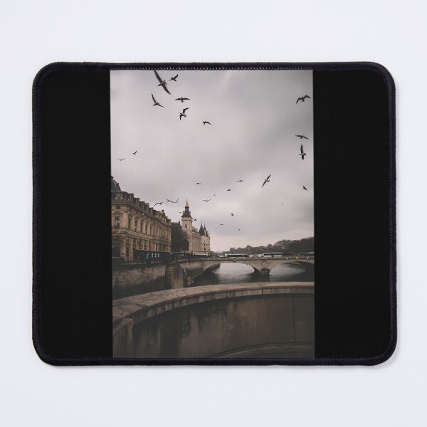 Item preview, Paris birds pigeons pro	ade 	 	 designed and sold by uwknwyasoak20.