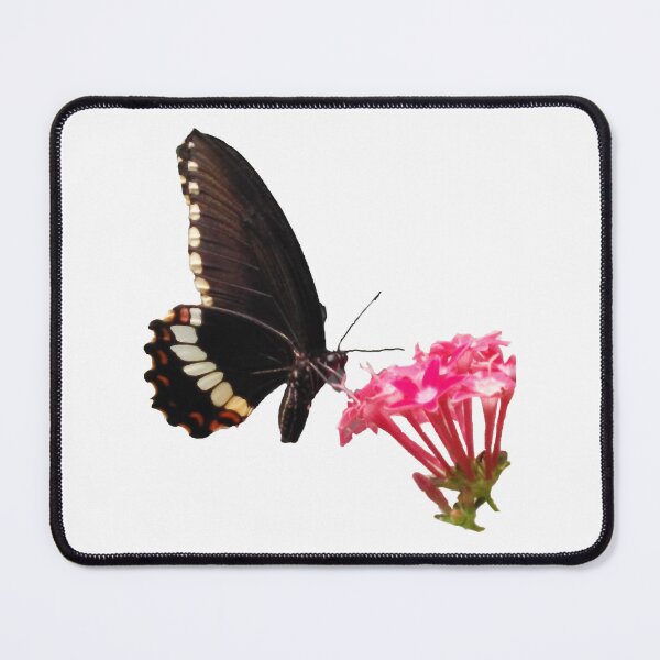 Item preview, Butterfly _amp_amp_amp_ Flowers Pattern Design designed and sold by helaina-madson.