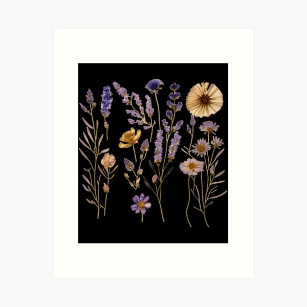  Pressed Flower Art,Wildflower Print,Dried Flowers  Print,Herbarium Print,Black Botanical Prints,Dark Floral Wall Art,Dark Flower  Art, Wall Art, Art Print : Handmade Products