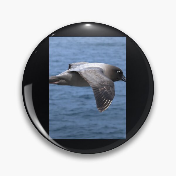Item preview, Light Mantled Sooty Albatross Post	 	 designed and sold by mvhgghgsco24.