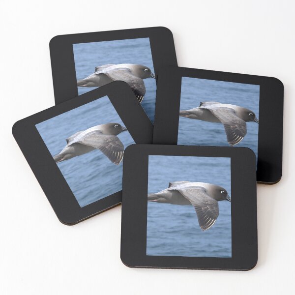 Item preview, Light Mantled Sooty Albatross Post	 	 designed and sold by mvhgghgsco24.