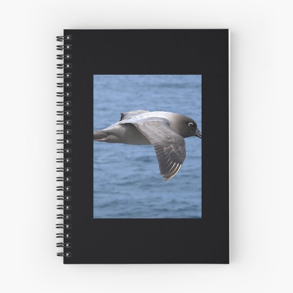 Item preview, Light Mantled Sooty Albatross Post	 	 designed and sold by mvhgghgsco24.