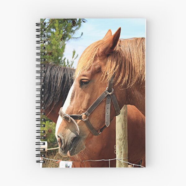 Item preview, Two farm draft horses designed and sold by FranWest.