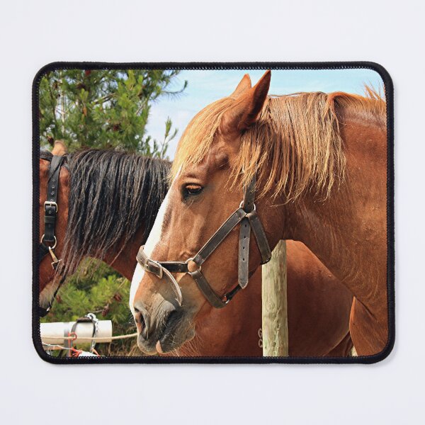 Item preview, Two farm draft horses designed and sold by FranWest.