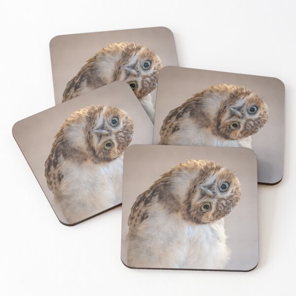 Item preview, Burrowing owl (Athene cunicularia) designed and sold by Steve Liptrot Photography.