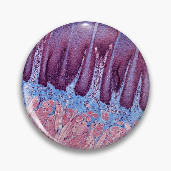 Item preview, Tip of the tongue designed and sold by Love Histology.