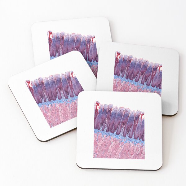 Item preview, Tip of the tongue designed and sold by Love Histology.