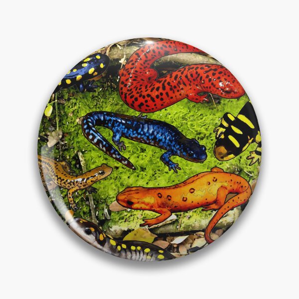 Item preview, SALAMANDERS AND NEWTS  	 designed and sold by wsaposhgto21.