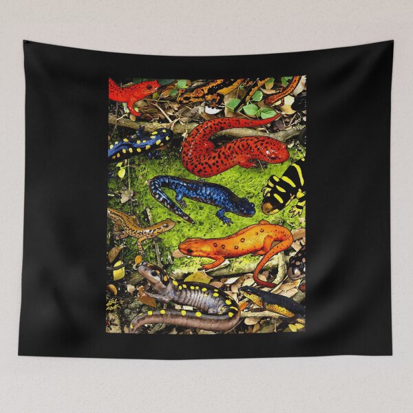 Item preview, SALAMANDERS AND NEWTS  	 designed and sold by wsaposhgto21.