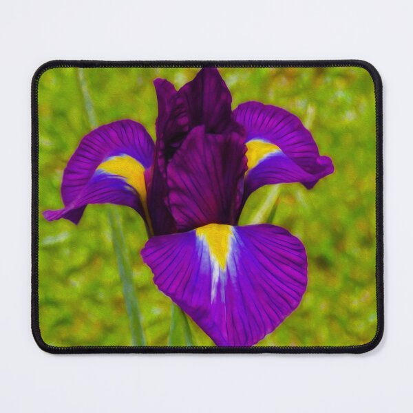 Item preview, Flower 2 designed and sold by Guardi71.