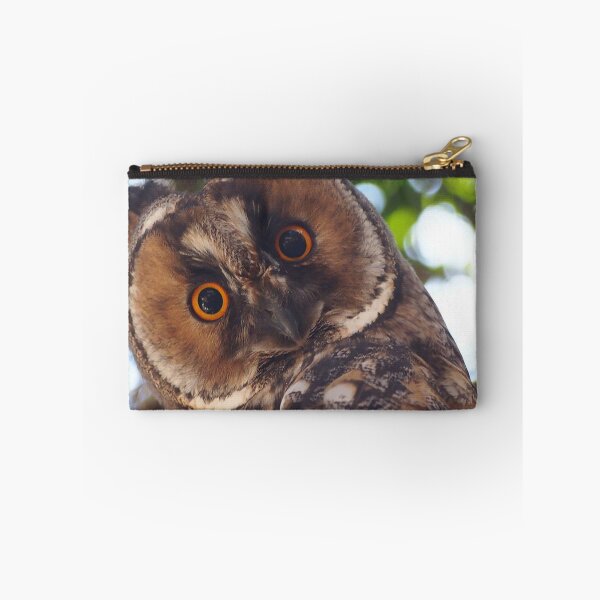 Item preview, Long-eared Owl designed and sold by ofirtafish.