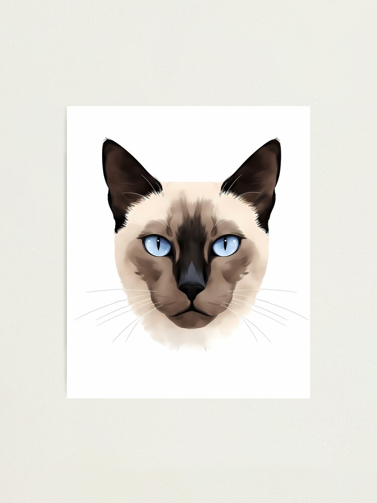 Cat Lover Siamese Cat Cute Pet