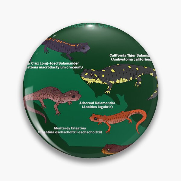 Item preview, Salamanders of Monterey County  	 designed and sold by wsaposhgto21.