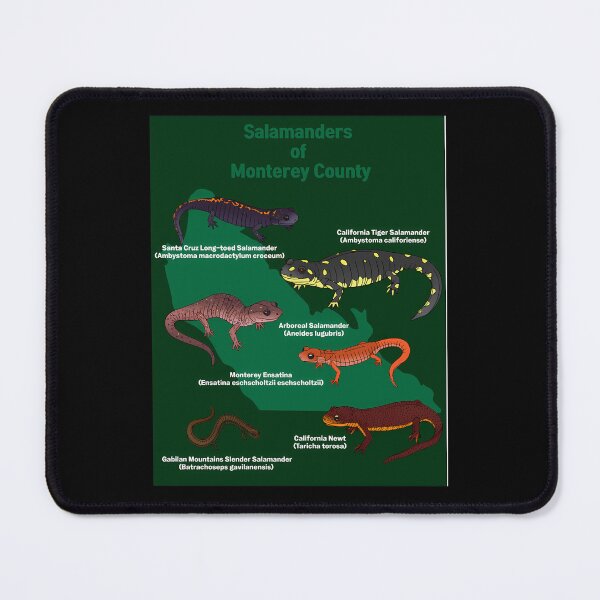 Item preview, Salamanders of Monterey County designed and sold by wsaposhgto21.