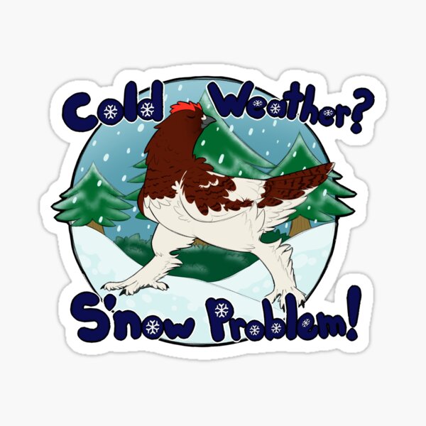 S'now problem Sticker
