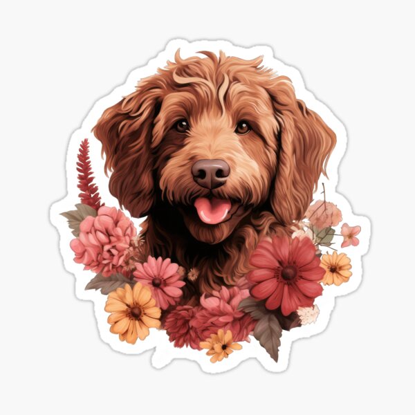 Australian labradoodle hot sale gifts