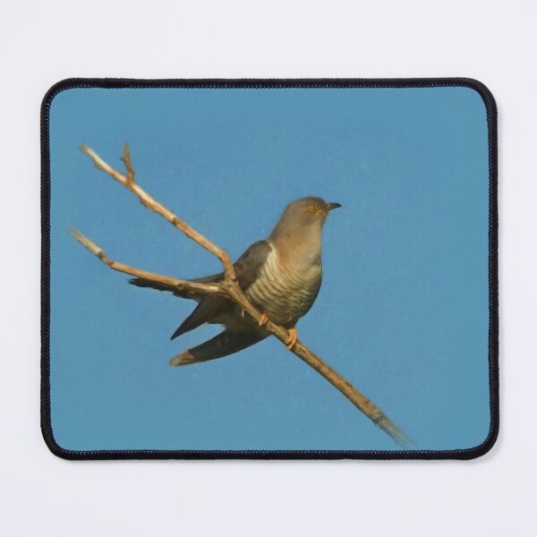 Item preview, Cuckoo designed and sold by Guardi71.