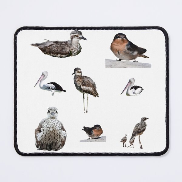 Item preview, Australian birds. Bush stone-curlew, wellcome swallow, Pelican,  designed and sold by Debsgiftware Ward.