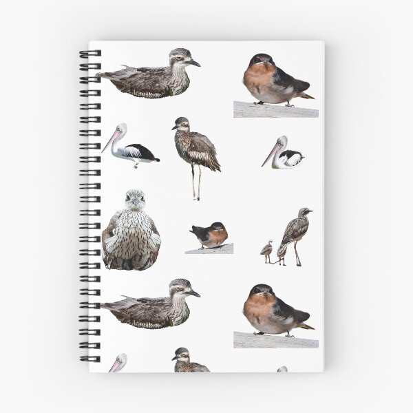 Item preview, Australian birds. Bush stone-curlew, wellcome swallow, Pelican,  designed and sold by Debsgiftware Ward.