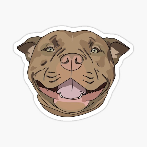 American bully outlet gifts