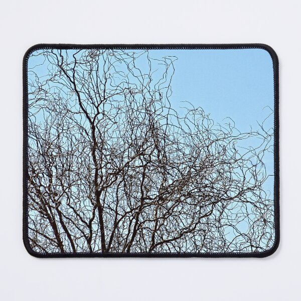 Item preview, Intricate Bare Tree Branches  designed and sold by Anna Lemos.