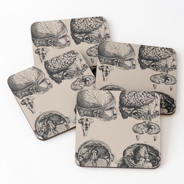 Item preview, Brain designed and sold by Agnesium.