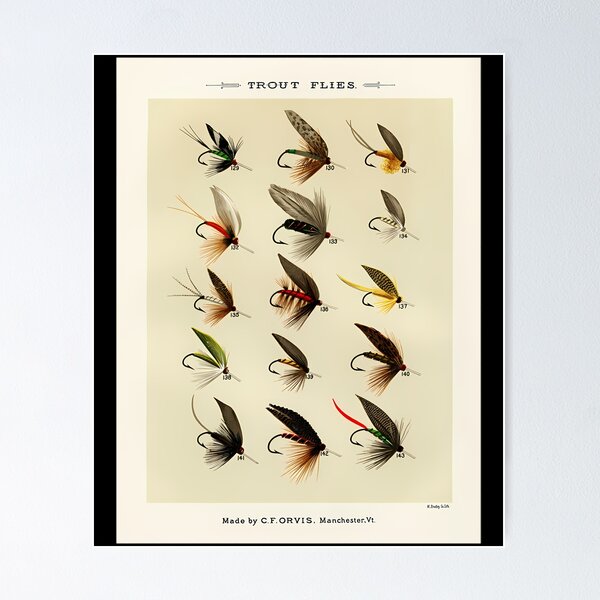 Fly Fishing Flies Posters for Sale