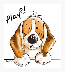 Little Beagle Photographic Print
