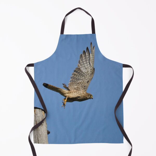 Item preview, Take off time. Common kestrel designed and sold by Jouko Lehto Photography.