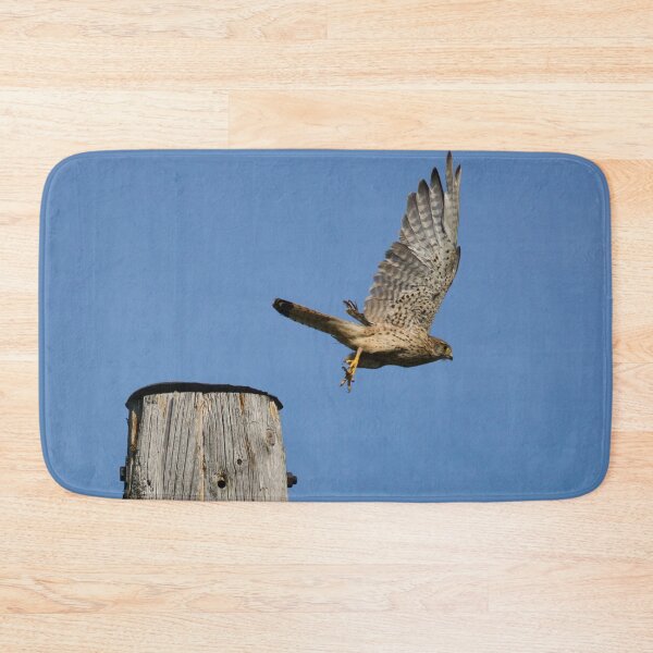 Item preview, Take off time. Common kestrel designed and sold by Jouko Lehto Photography.