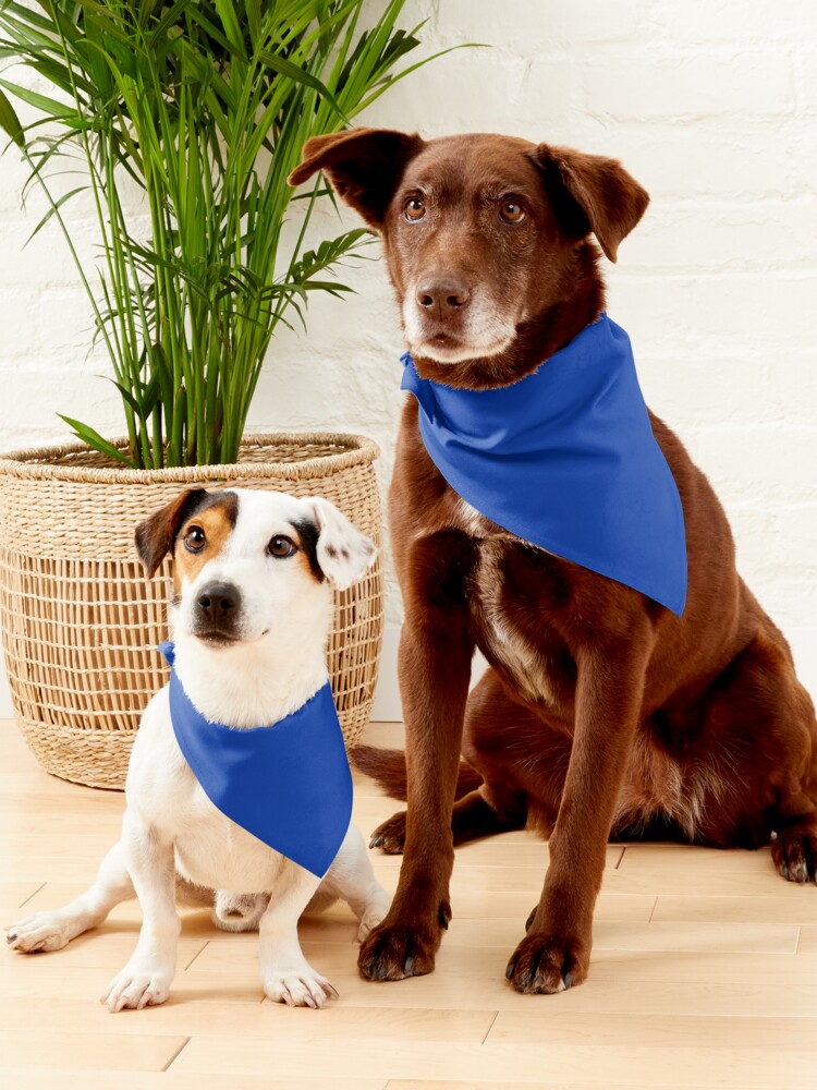 Atlanta Braves Pet Bandana 3 Sizes