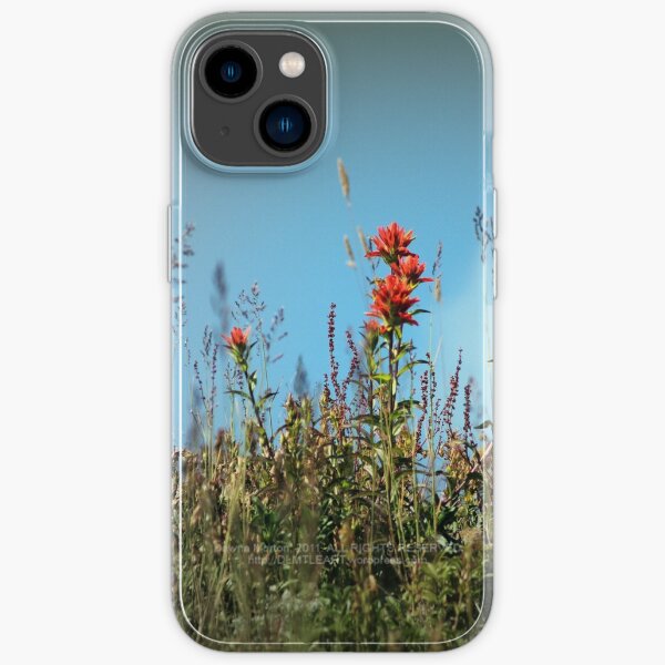 "paintbrush wildflowers, Johnston's Ridge" iPhone Case for Sale by