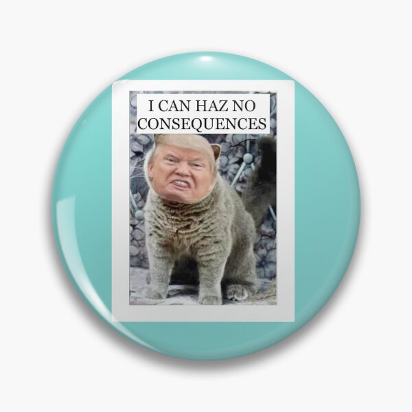 Item preview, I can haz no consequences  designed and sold by WriteRightOn.