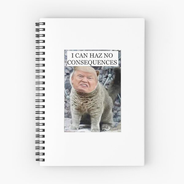 Item preview, I can haz no consequences  designed and sold by WriteRightOn.