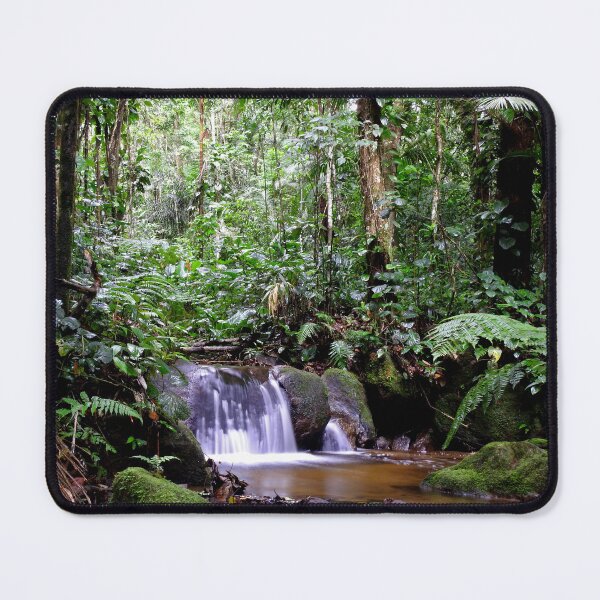Item preview, Atlantic Forest Rainforest designed and sold by Amanda Cherutte.