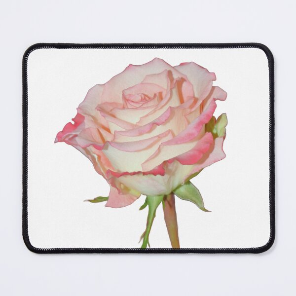 Item preview, Pink Rose Open Bloom designed and sold by Louise-Mae.