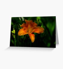 A Tiger In The Garden Greeting Card