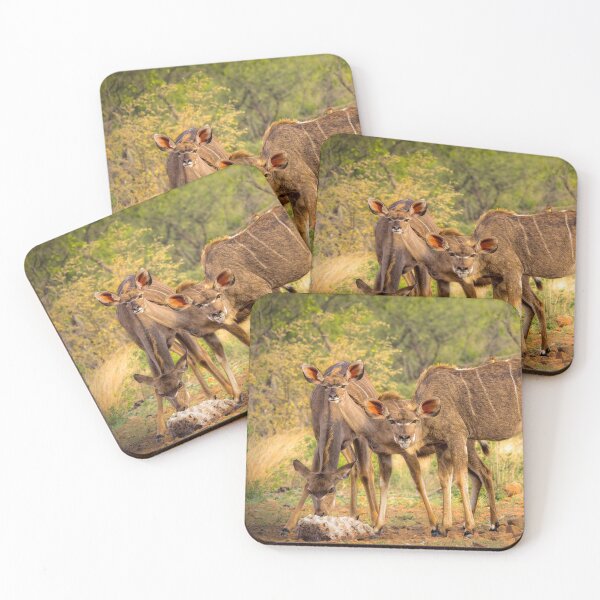 Item preview, Trio Of Kudus designed and sold by Viv Thompson Photography .
